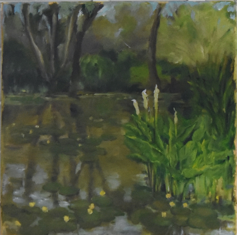 Lily Pond Devon by artist Tammy Brown